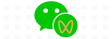 WeChat Channels