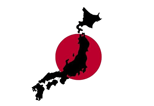 実績